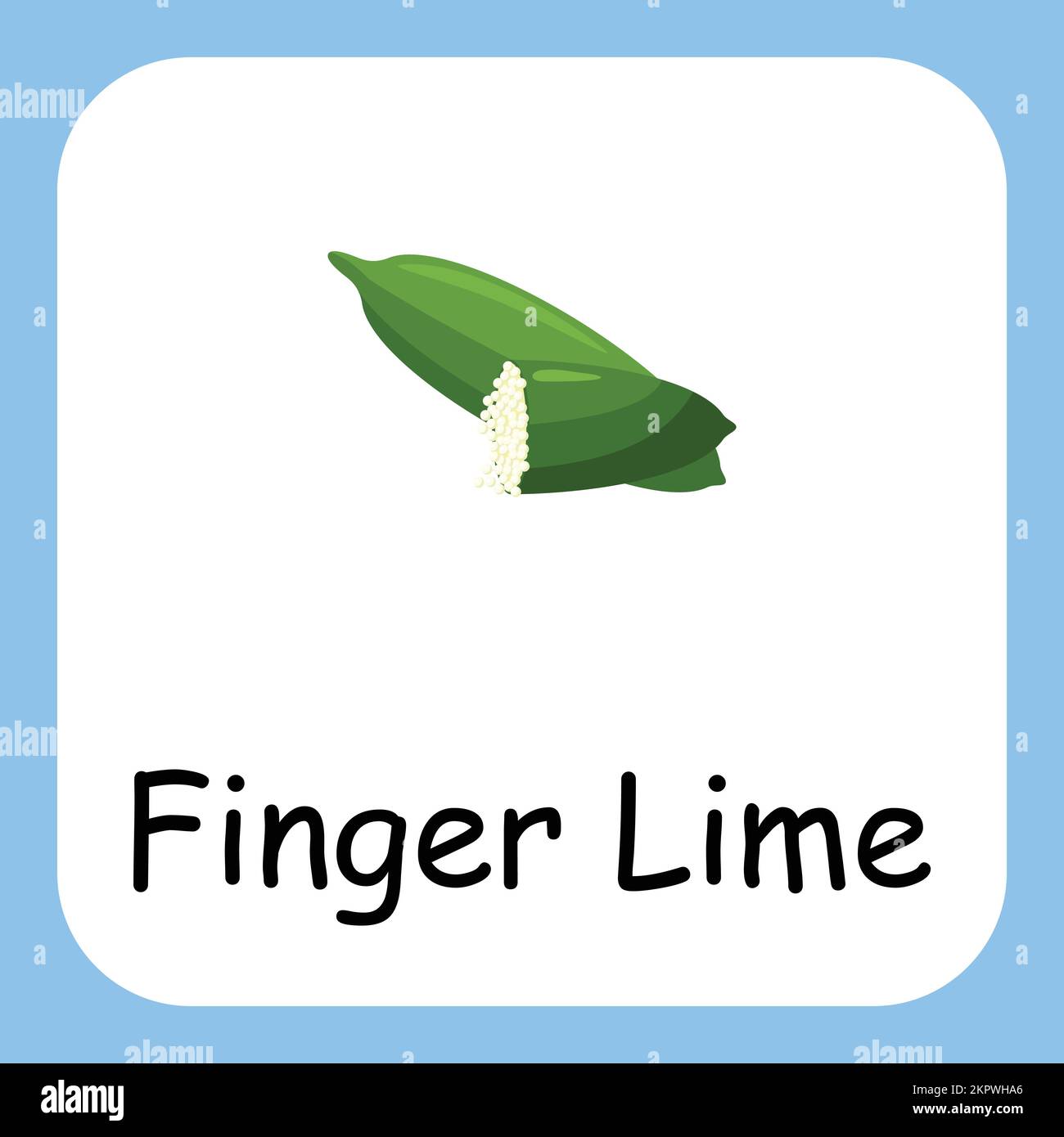 Clip art Finger Lime con testo, design piatto. Educazione per i bambini. Illustrazione vettoriale Illustrazione Vettoriale