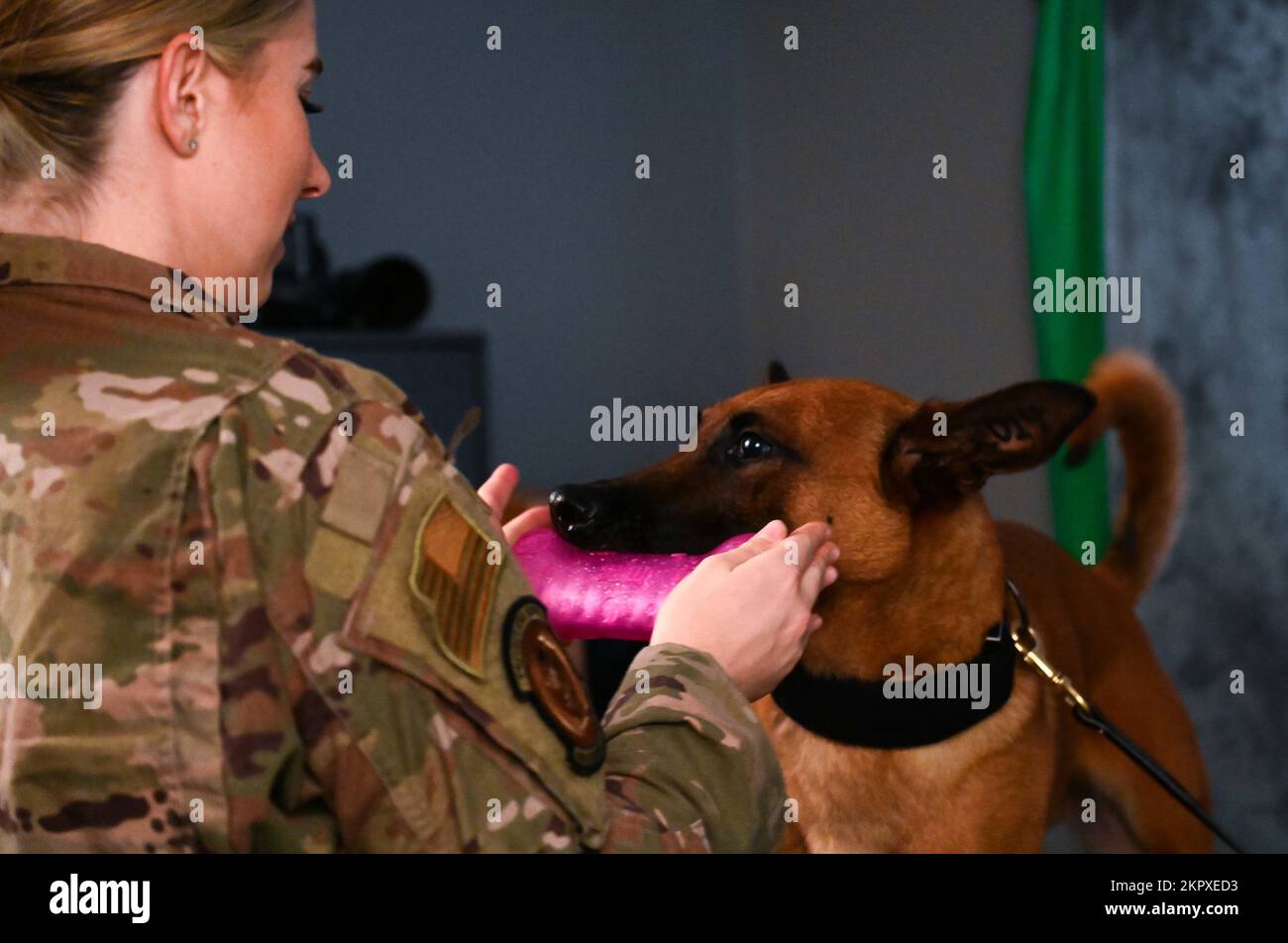 I cani da lavoro militari e i loro addestratori dello Squadrone delle forze di sicurezza 72nd posano per le foto ufficiali 4 novembre 2022, base dell'aeronautica di Tinker, Oklahoma. Foto Stock