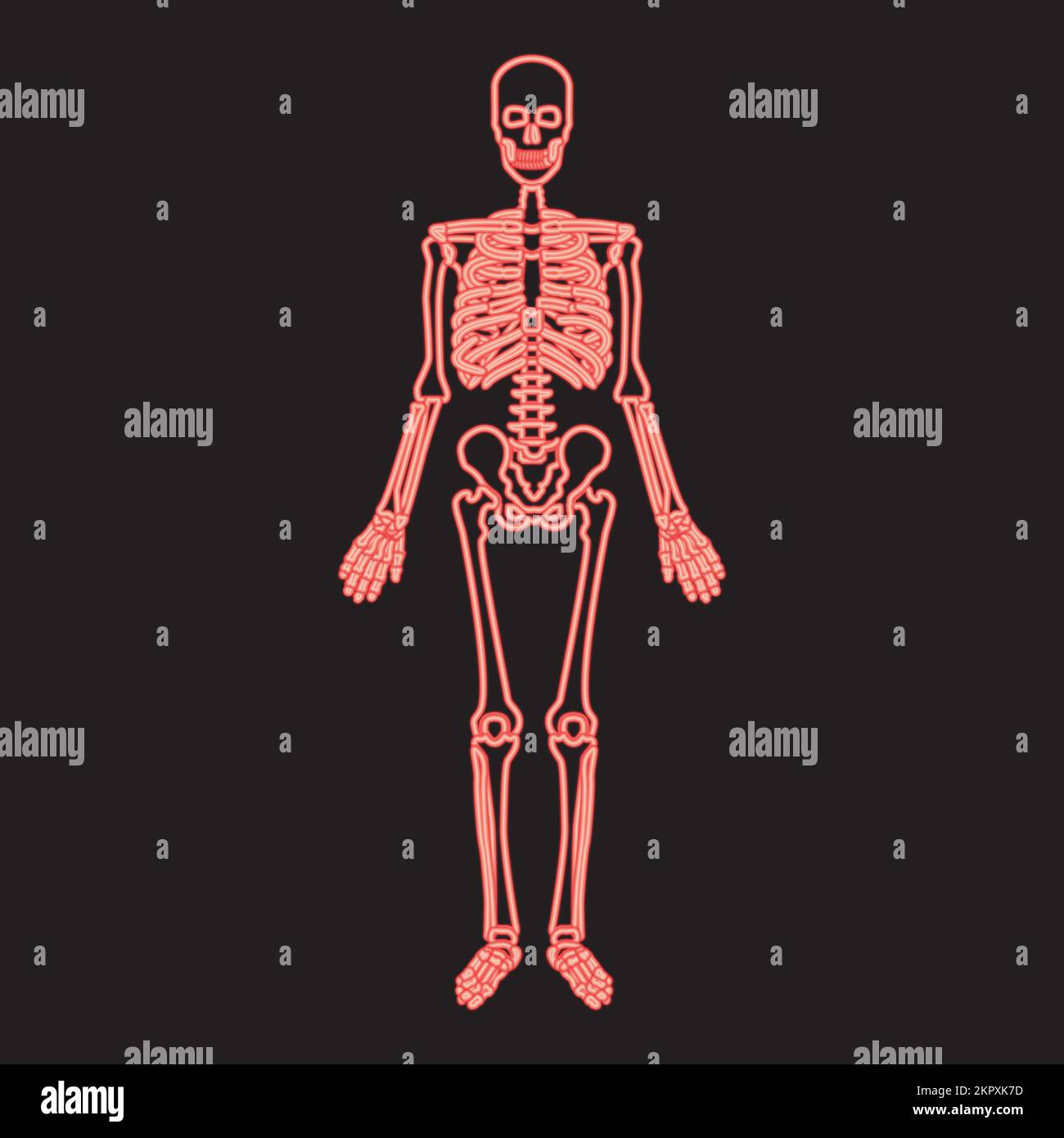 Neon scheletro umano colore rosso vettore immagine immagine immagine piatto luce Illustrazione Vettoriale