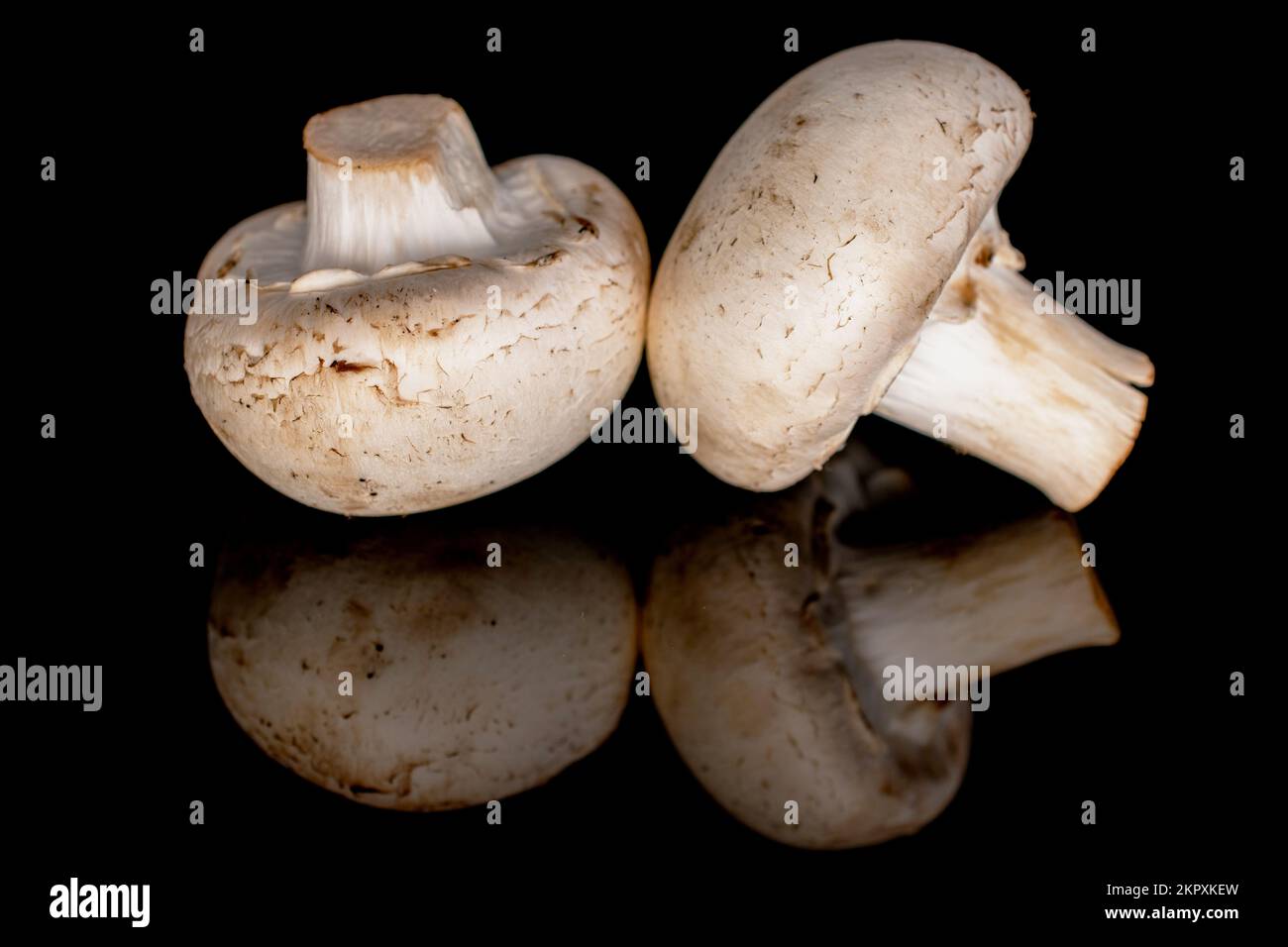 Due funghi champignon biologici freschi appetitosi su fondo nero. Foto Stock