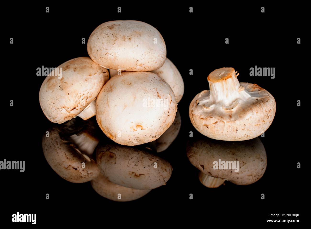 Diversi funghi champignon biologici freschi appetitosi su sfondo nero. Foto Stock
