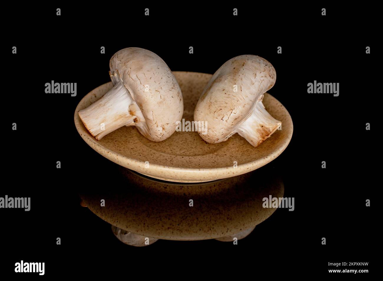 Due appetitosi funghi champignon freschi e biologici su un piattino in ceramica, primo piano, su fondo nero. Foto Stock