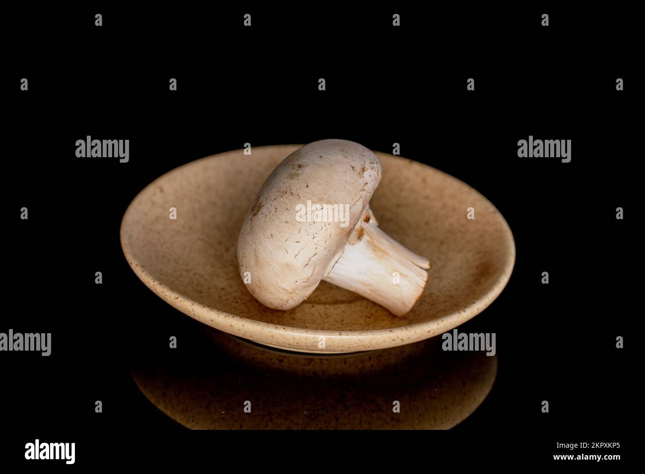 Un fungo di champignon fresco e fresco intero su un piattino in ceramica, primo piano, su sfondo nero. Foto Stock