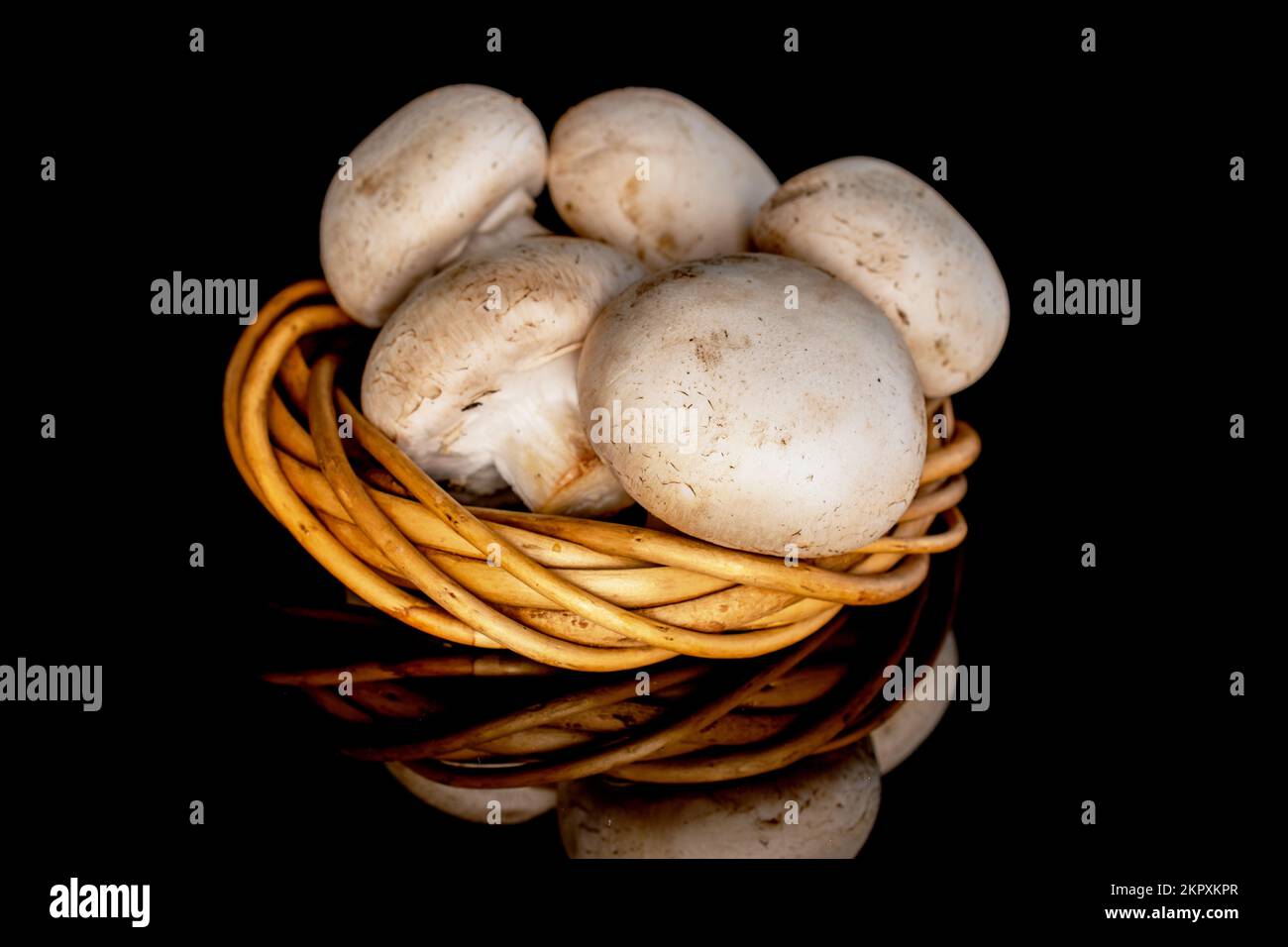 Diversi funghi freschi e appetitosi champignon biologici con una corona di ramoscelli, primo piano, su sfondo nero. Foto Stock