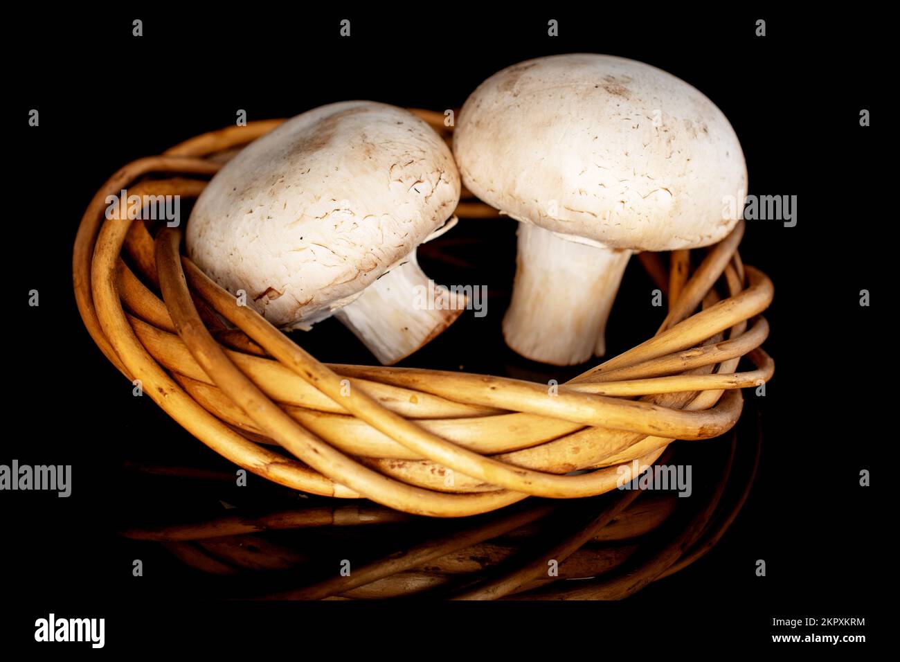 Due funghi freschi e biologici champignon appetitosi con una corona di ramoscelli, primo piano, su sfondo nero. Foto Stock