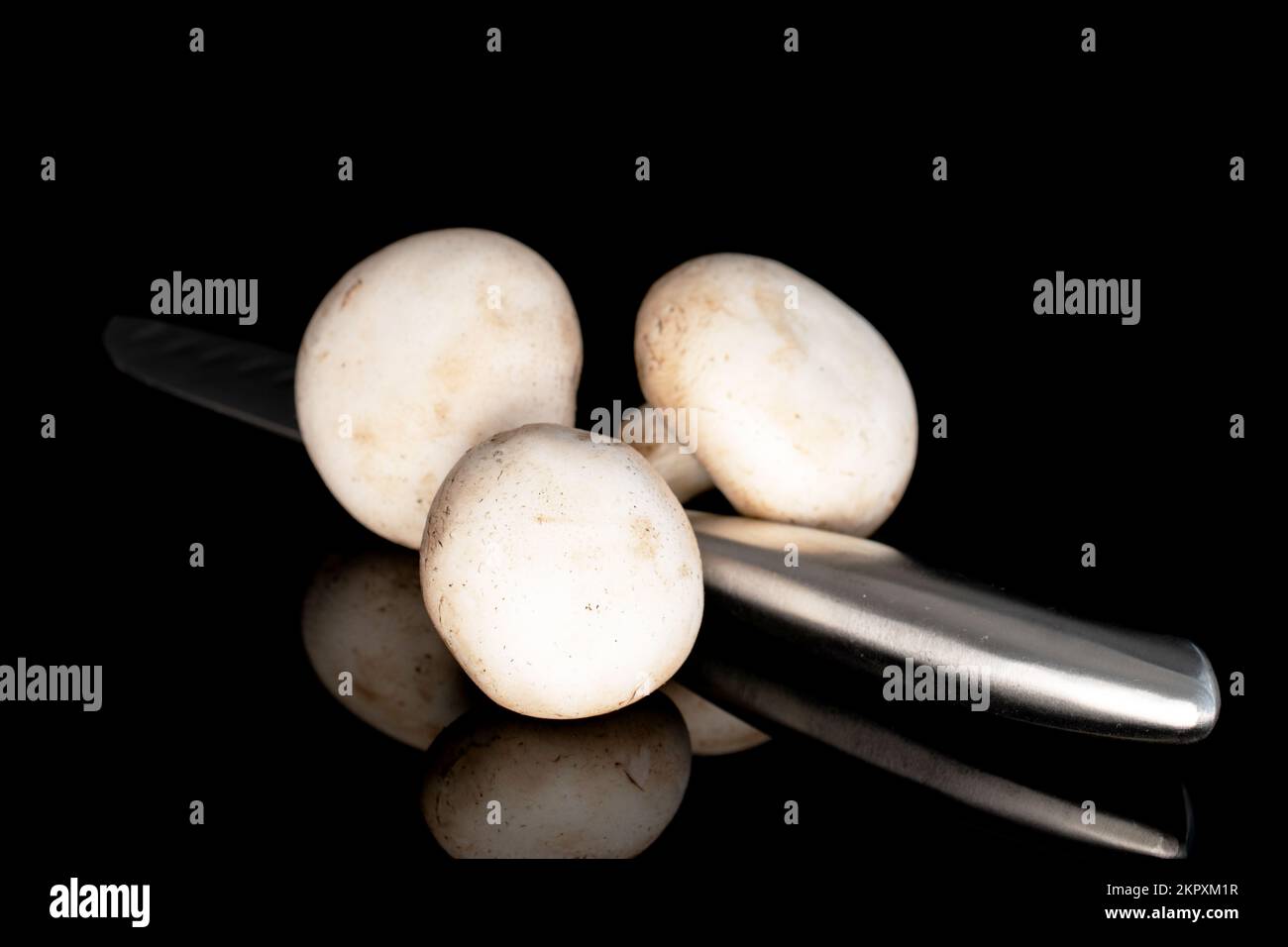 Tre funghi champignon biologici freschi appetitosi con coltello metallico, primo piano, su fondo nero. Foto Stock