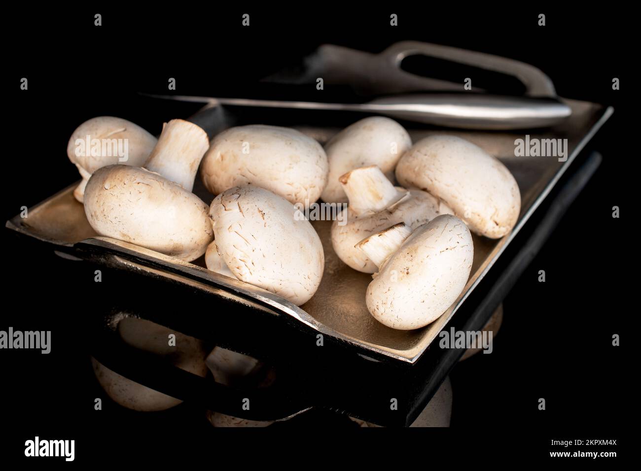 Diversi funghi freschi e biologici appetitosi champignon su un vassoio di metallo con un coltello di metallo, primo piano, su sfondo nero. Foto Stock