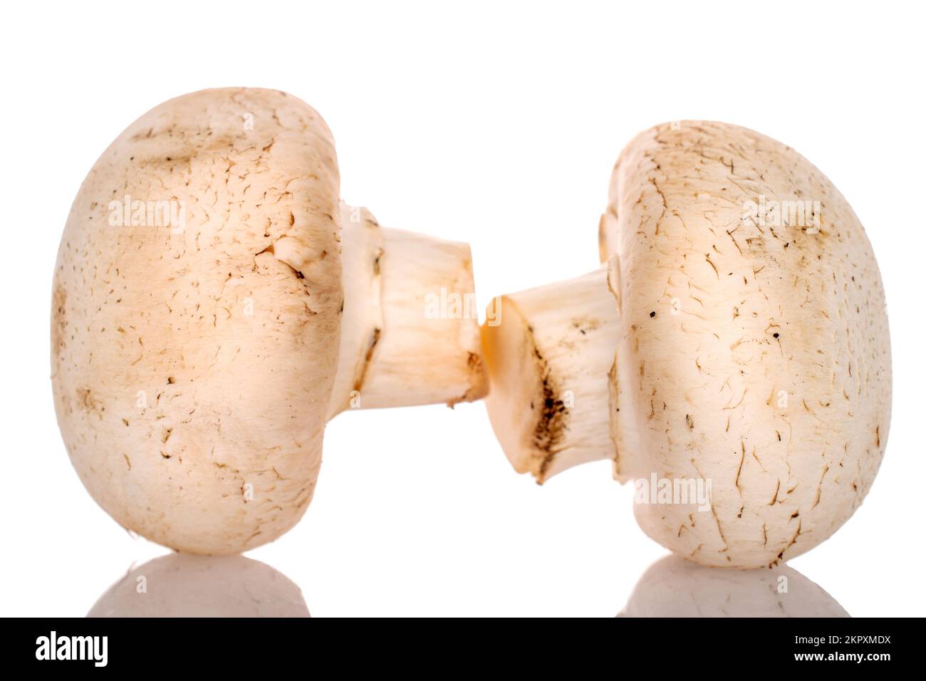 Due funghi champignon biologici freschi appetitosi su fondo bianco. Foto Stock