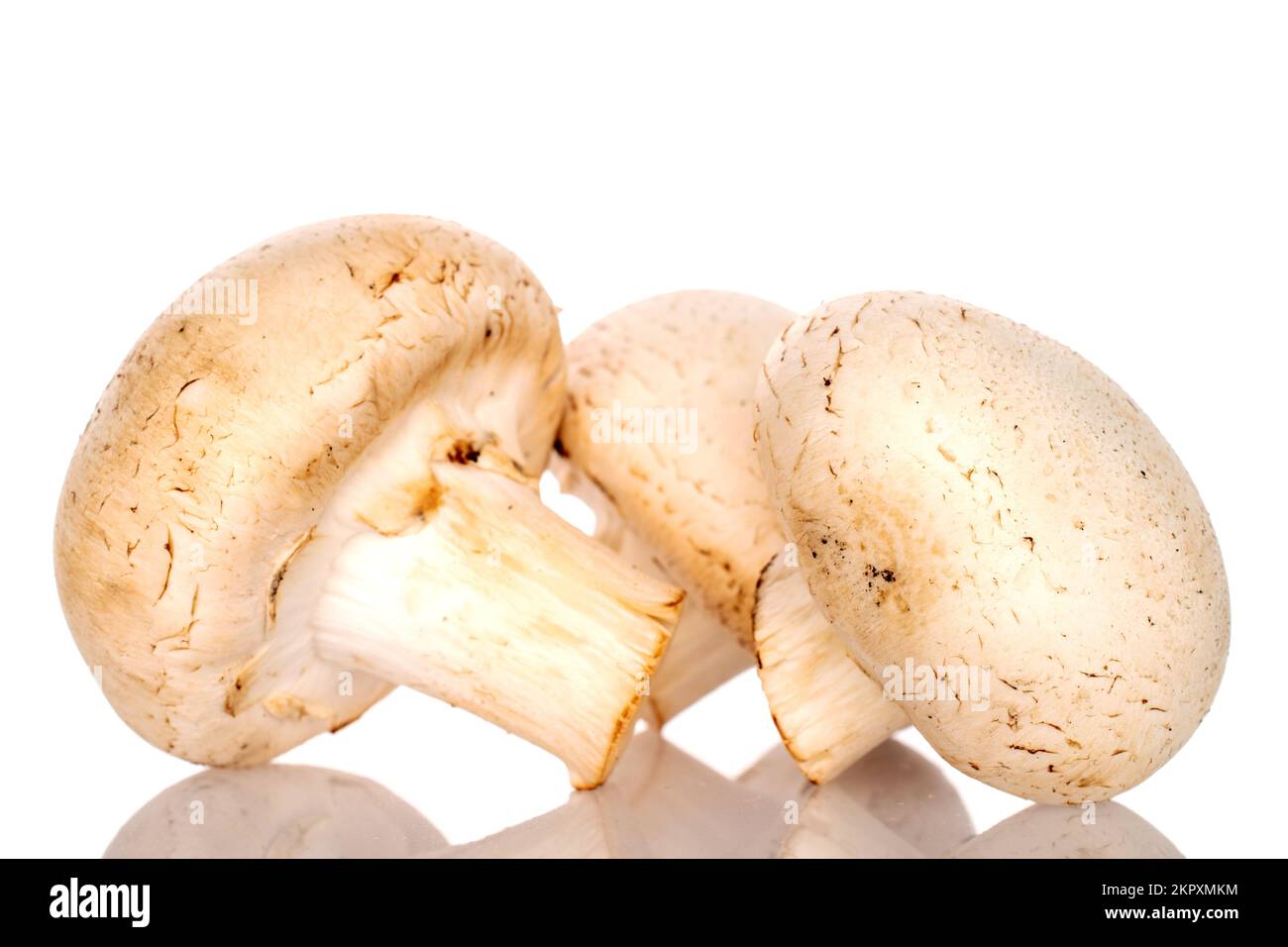 Tre funghi champignon biologici freschi appetitosi su fondo bianco. Foto Stock