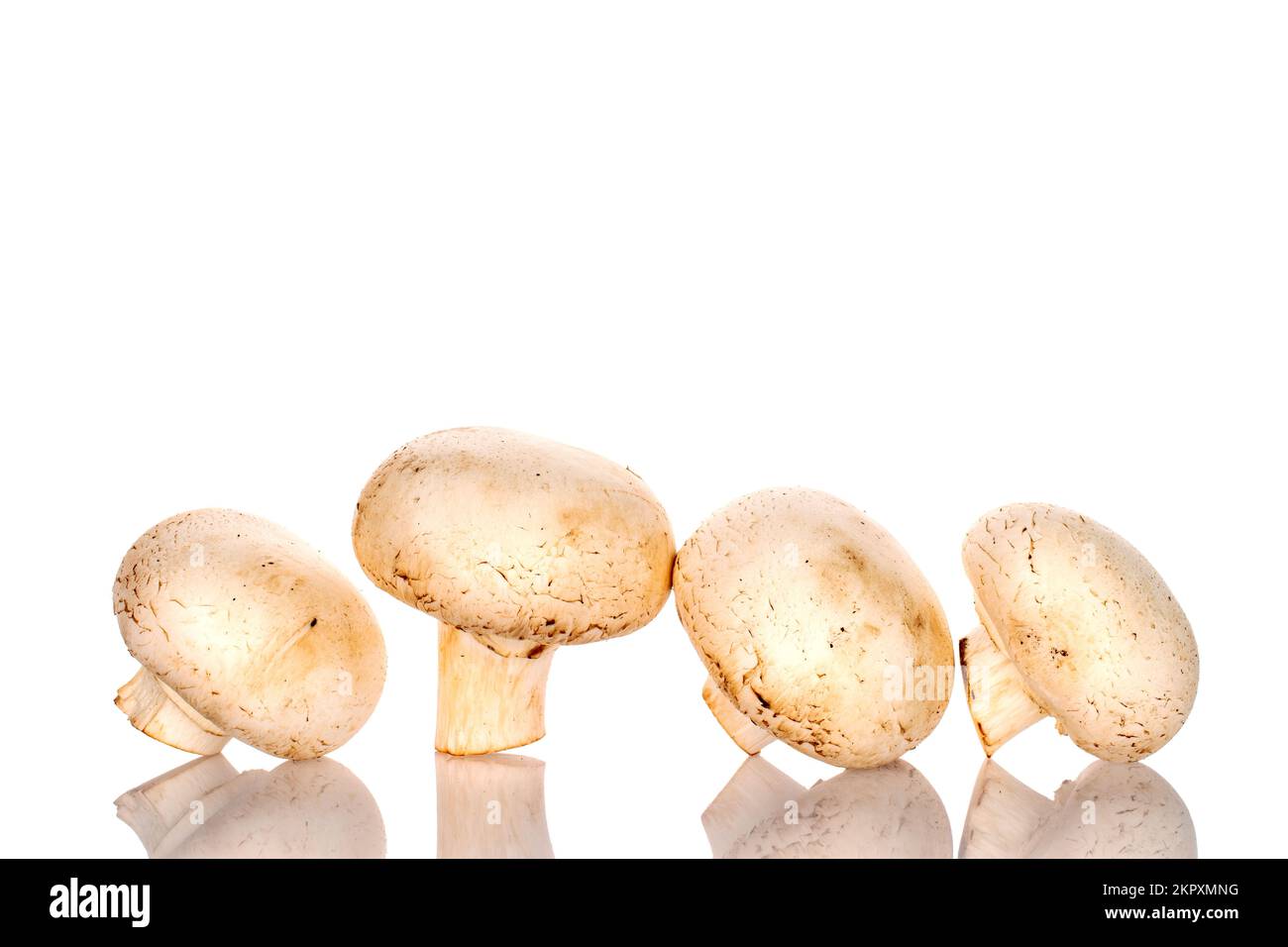 Diversi funghi champignon biologici freschi appetitosi su sfondo bianco. Foto Stock