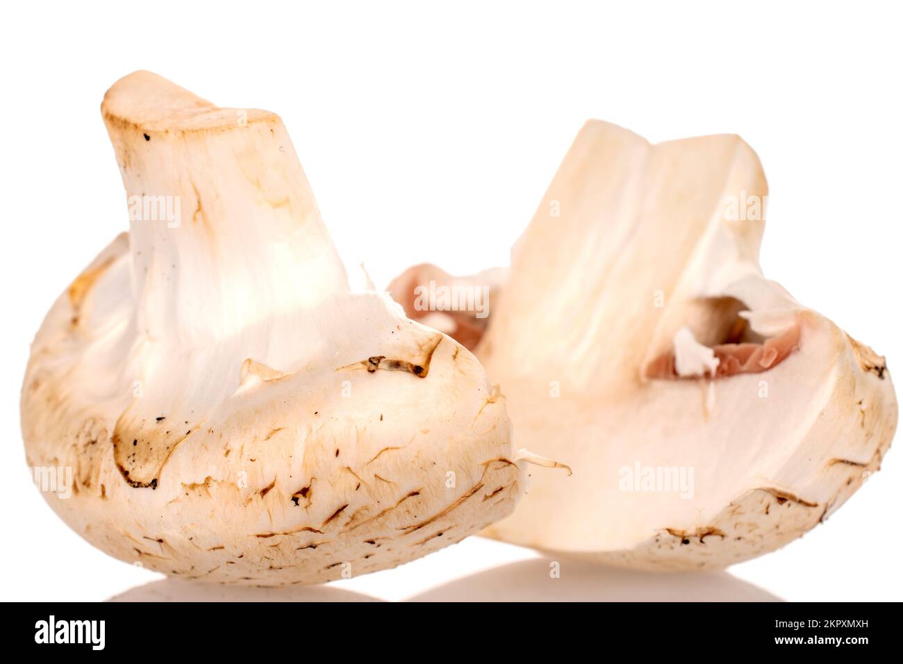 Due metà di funghi champignon freschi e appetitosi, primo piano, su sfondo bianco. Foto Stock