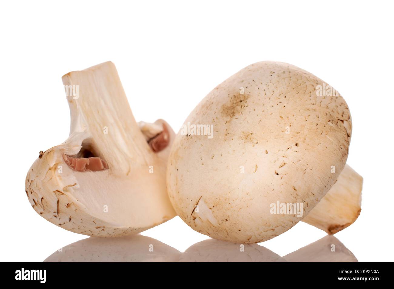 Un intero e mezzo champignon di funghi appetitosi freschi biologici, primo piano, su sfondo bianco. Foto Stock