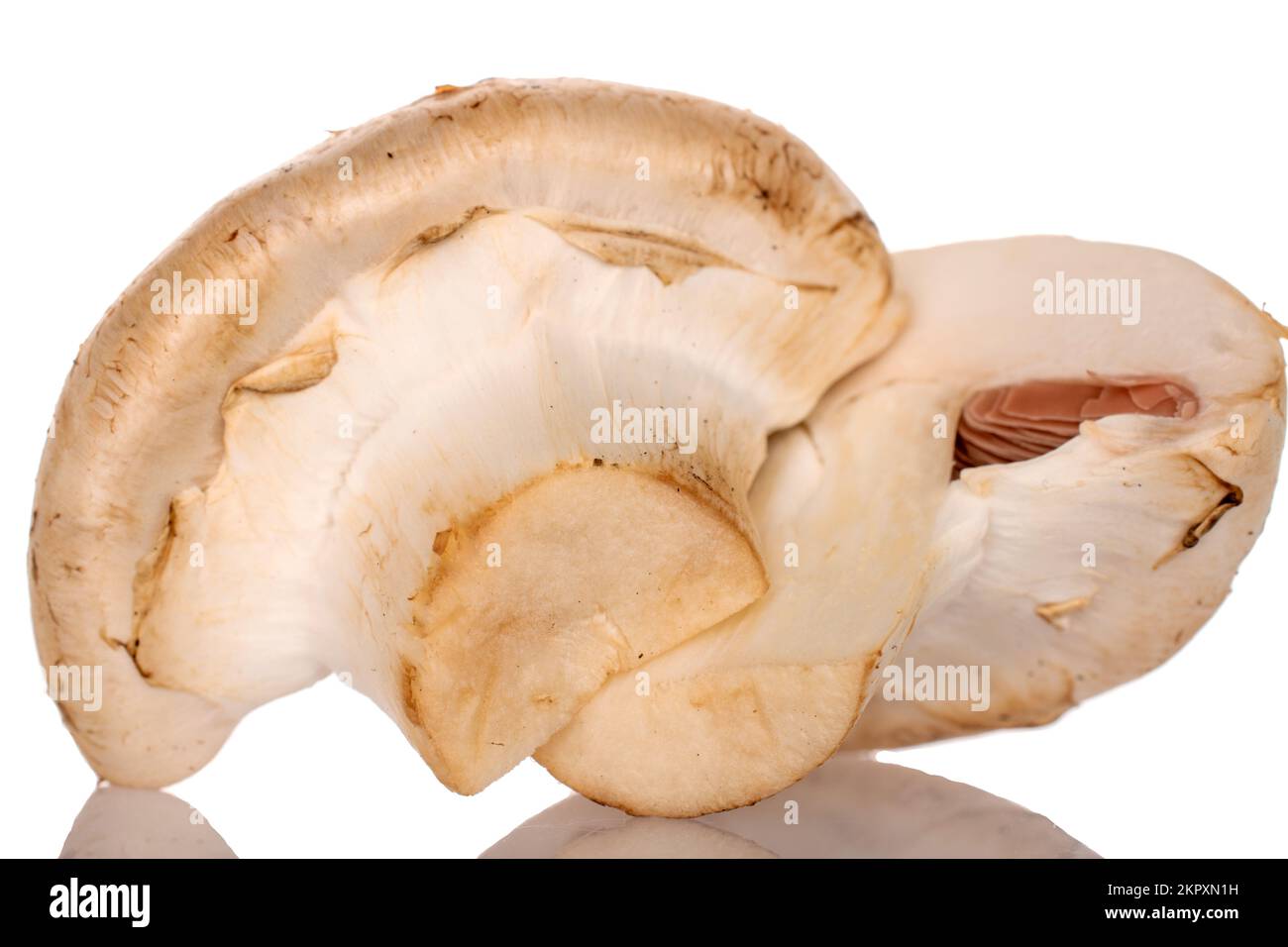 Due metà di funghi champignon freschi e appetitosi, primo piano, su sfondo bianco. Foto Stock