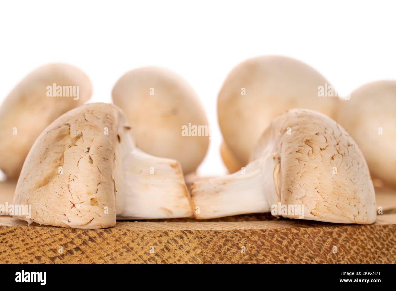 Diversi funghi champignon freschi e biologici su un vassoio rotondo di bambù, primo piano, su sfondo bianco. Foto Stock