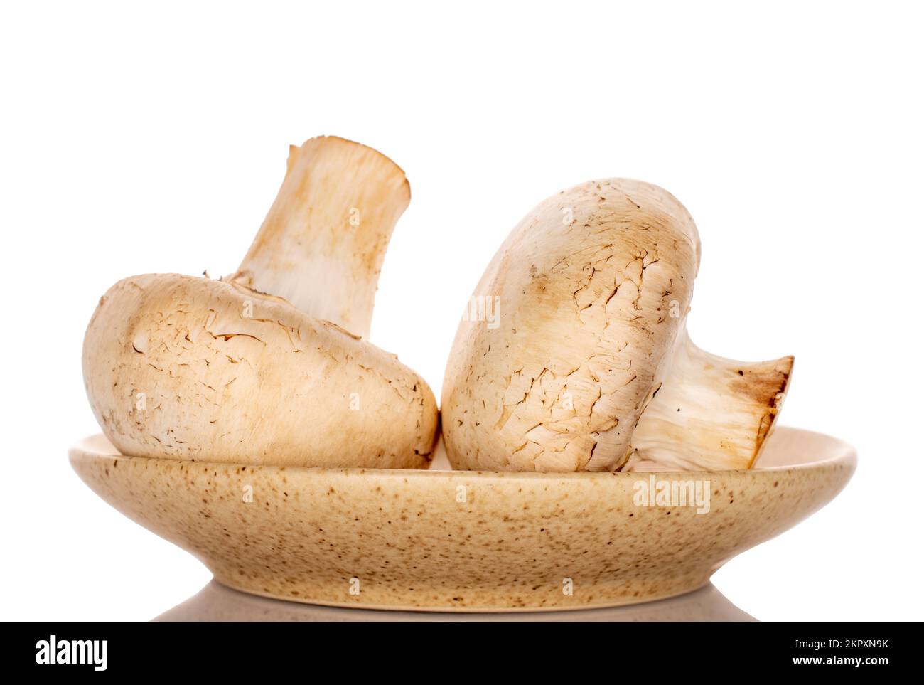 Due funghi champignon freschi e biologici interi su un piatto di ceramica, primo piano, su fondo bianco. Foto Stock