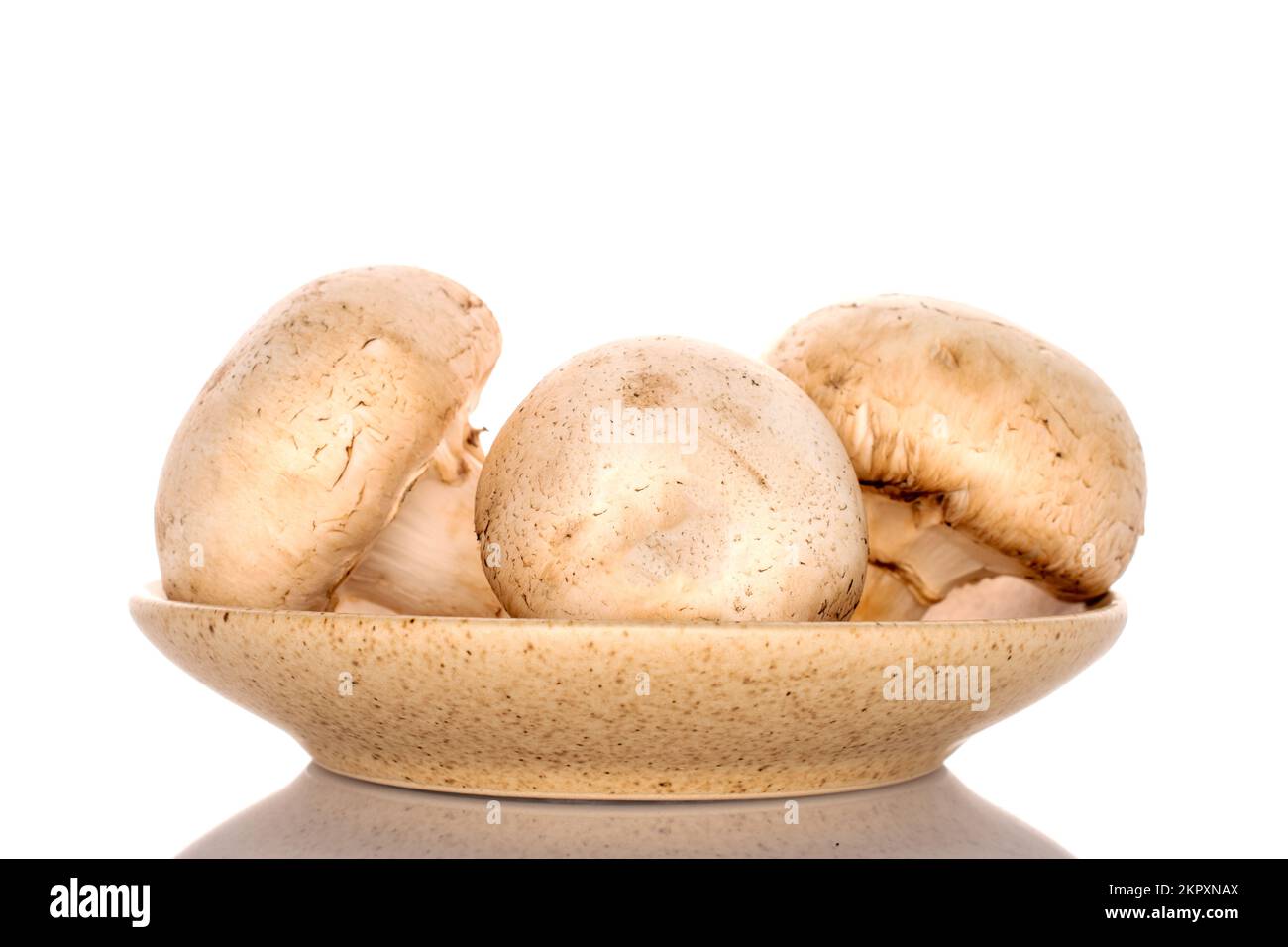 Tre funghi champignon freschi e biologici interi su un piatto di ceramica, primo piano, su fondo bianco. Foto Stock