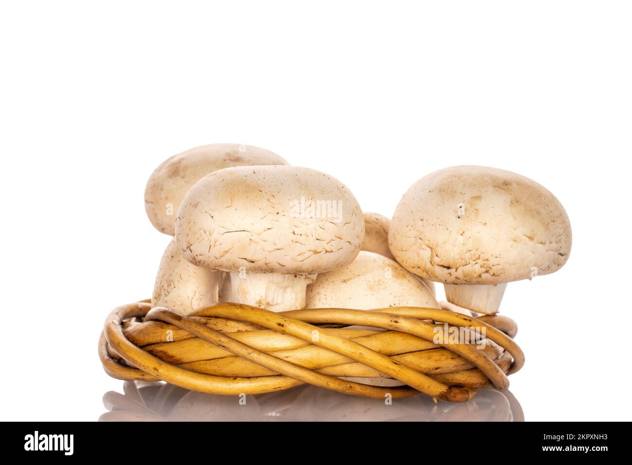 Diversi funghi champignon freschi e biologici con una corona di ramoscelli, primo piano, su sfondo bianco. Foto Stock