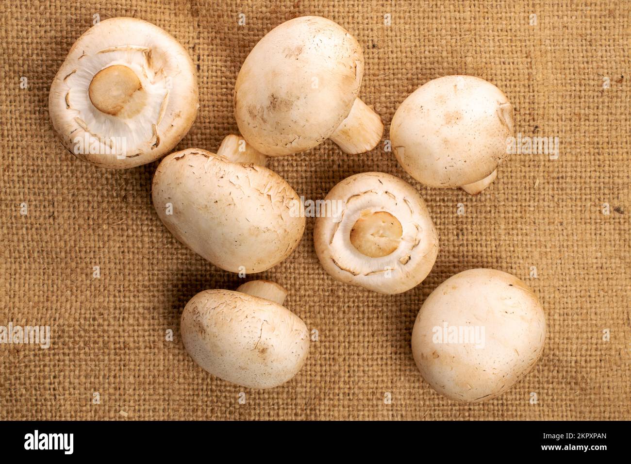 Alcuni funghi freschi e appetitosi champignon su un tovagliolo di iuta, vista dall'alto. Foto Stock