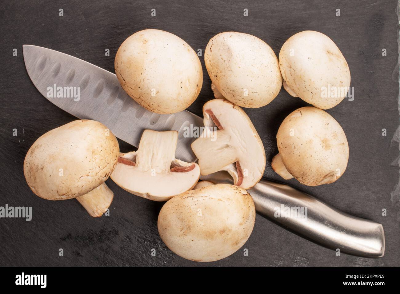 Diversi funghi porcini interi freschi e appetitosi con coltello in metallo su pietra ardesia, vista dall'alto. Foto Stock