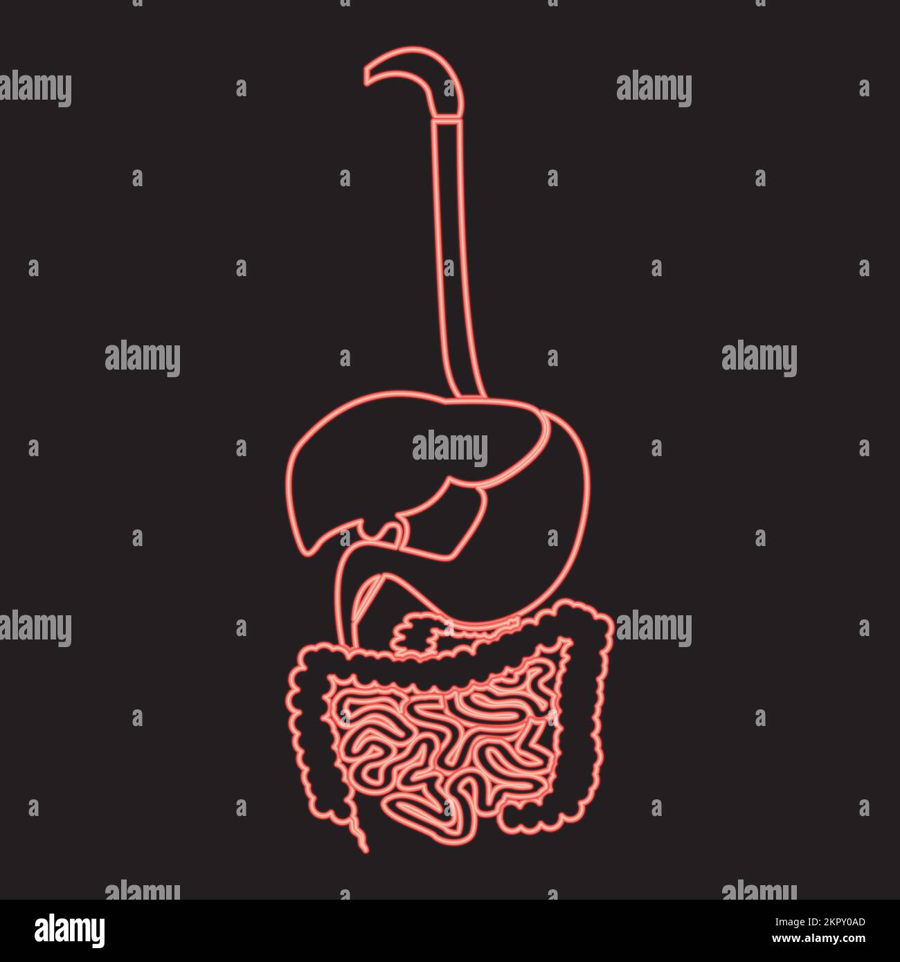 Sistema digestivo al neon colore rosso vettore immagine immagine piatta luce Illustrazione Vettoriale