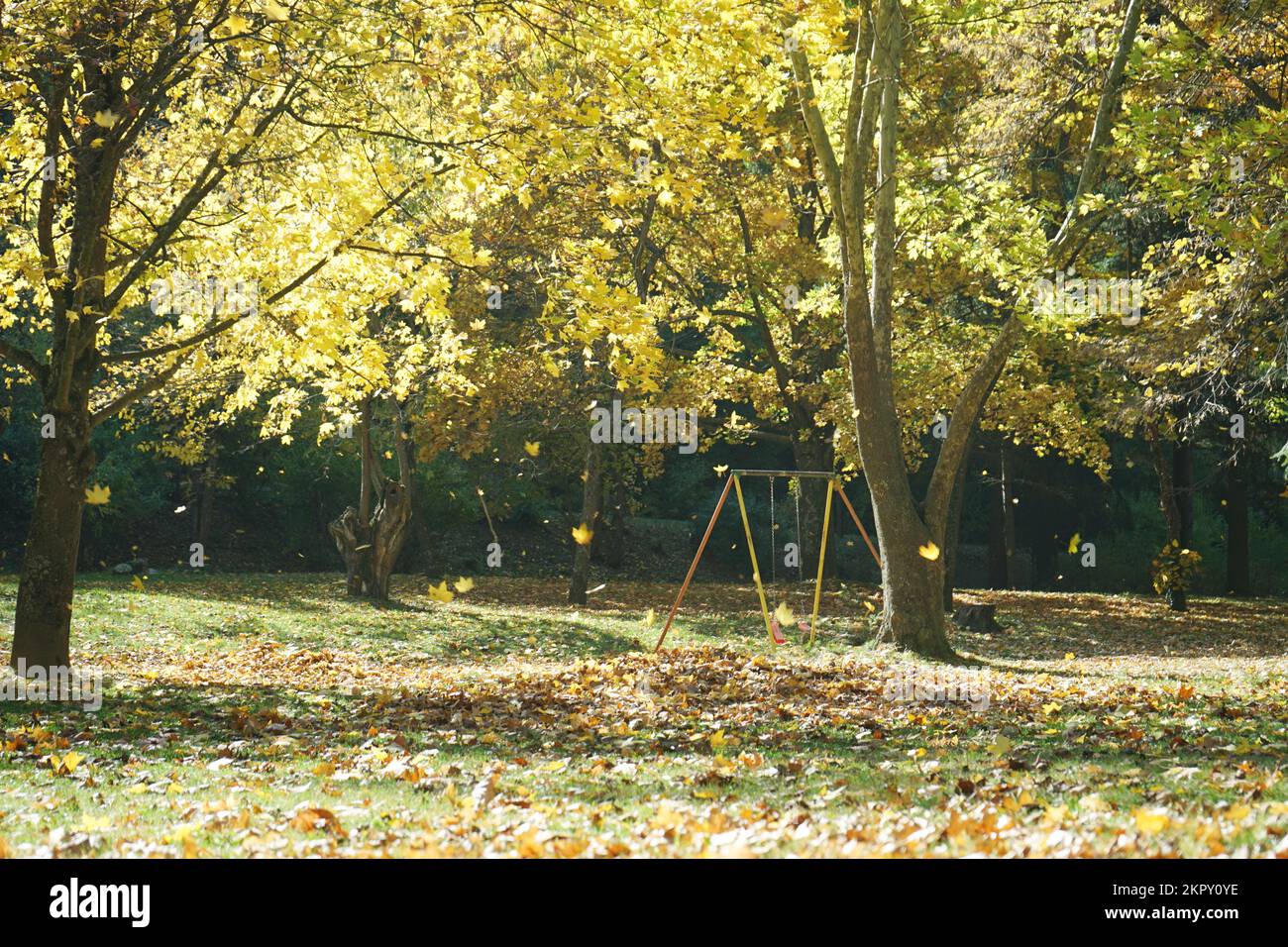 Caduta delle foglie Foto Stock