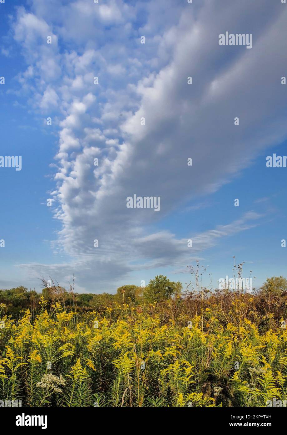 Nuvole scintillanti riempiono il cielo sopra la povertà Prairie a Waterfall Glen Forest Preserve, DuPage County, Illinois Foto Stock