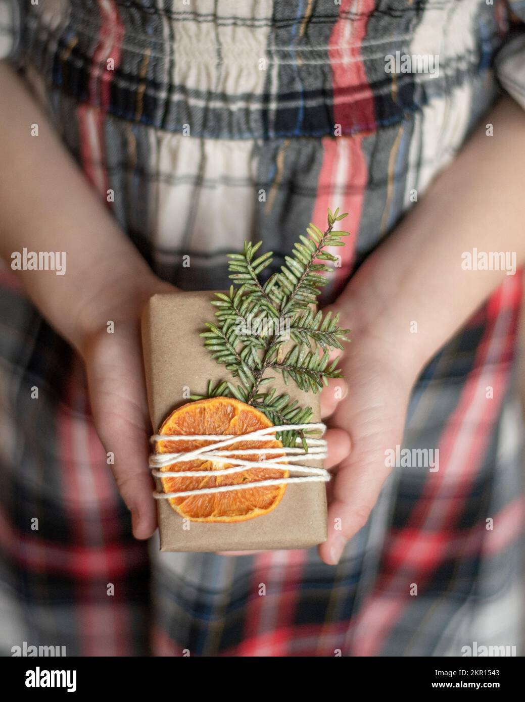 Ragazza che tiene presente con fetta d'arancia e pino Foto Stock