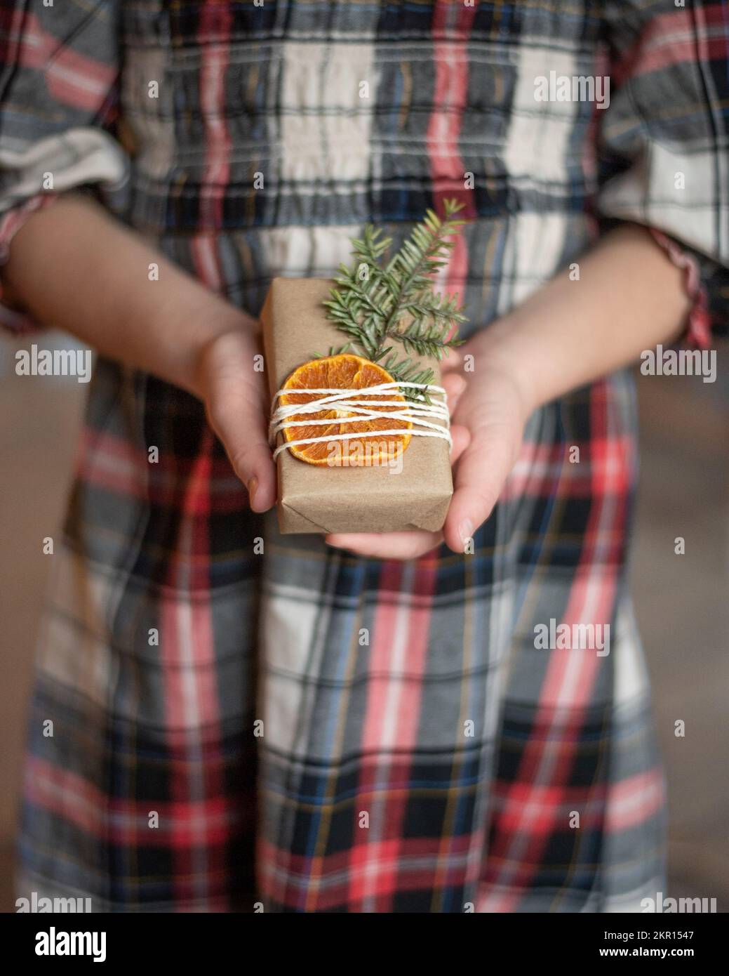 Ragazza in possesso di un semplice dono con fetta di arancia e pino Foto Stock