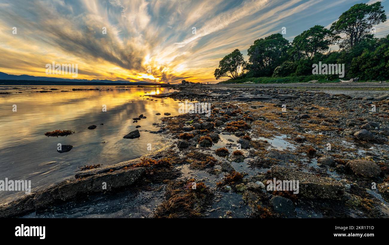 Bellissimo tramonto sulla riva dell'isola di Hornby con la bassa marea. Foto Stock