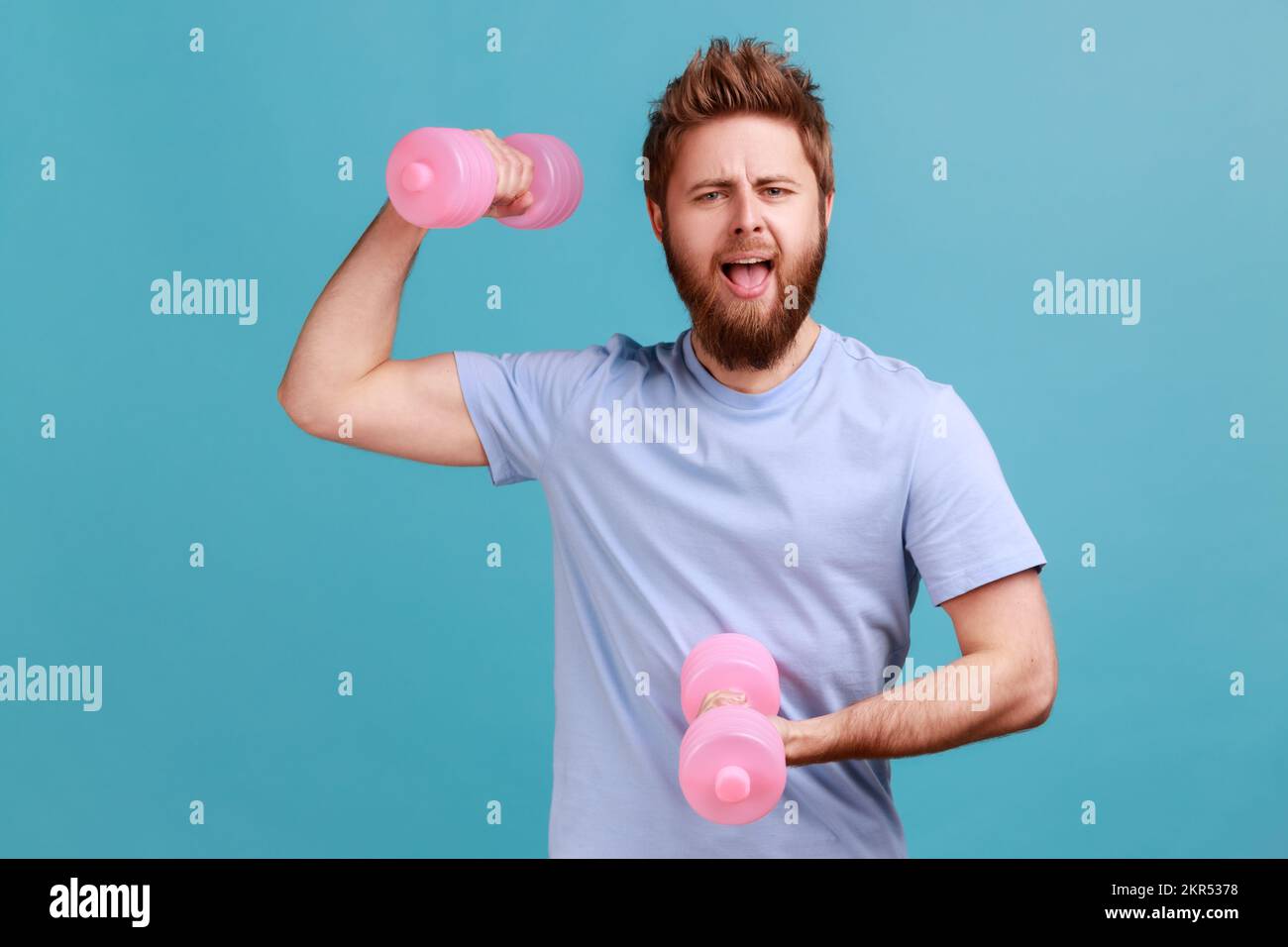 Ritratto di un bell'uomo bearded eccitato che tiene manubri rosa guardando la macchina fotografica, pompando bicipiti in palestra, facendo esercizi con sforzo. Studio in interni isolato su sfondo blu. Foto Stock
