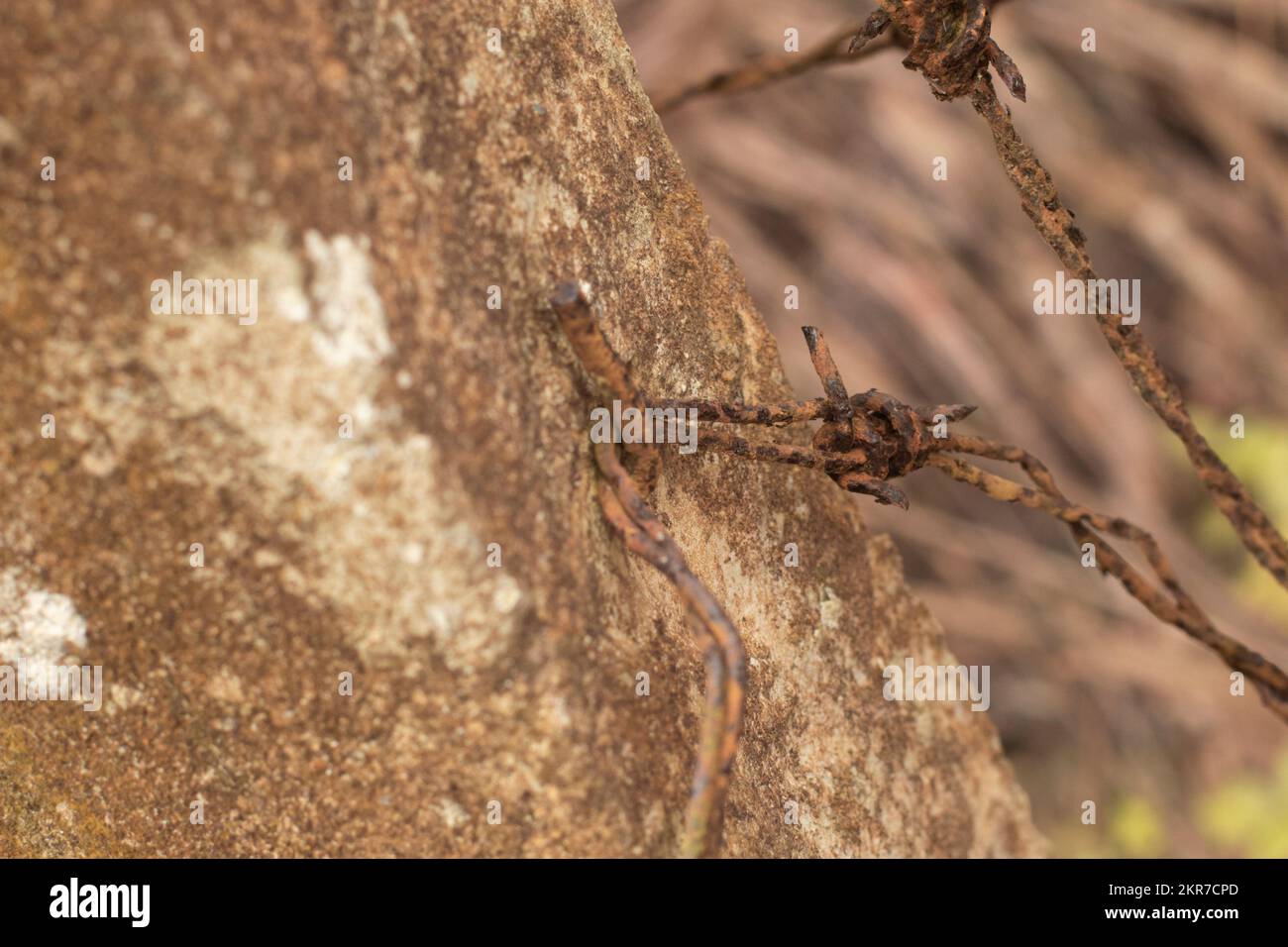 immagine a infrarossi del vecchio arrugginito di scarto barbe-wired sul palo di cemento Foto Stock