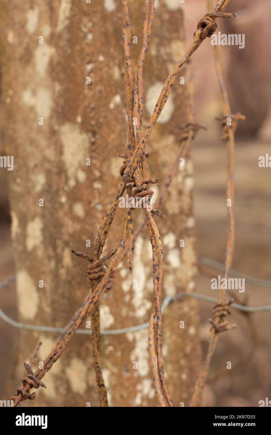 immagine a infrarossi del vecchio arrugginito di scarto barbe-wired sul palo di cemento Foto Stock