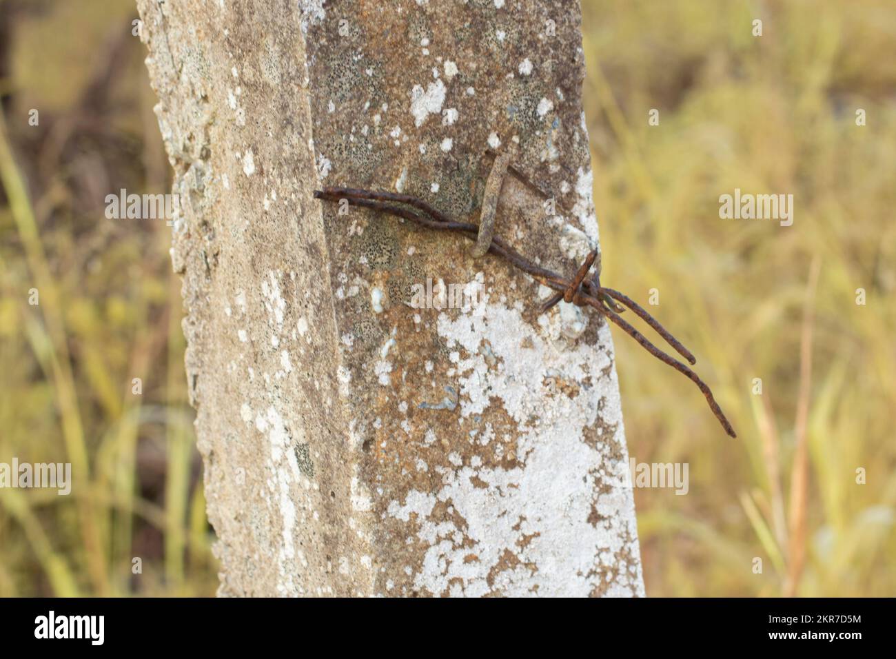 immagine a infrarossi del vecchio arrugginito di scarto barbe-wired sul palo di cemento Foto Stock