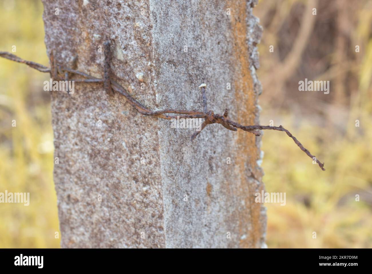 immagine a infrarossi del vecchio arrugginito di scarto barbe-wired sul palo di cemento Foto Stock