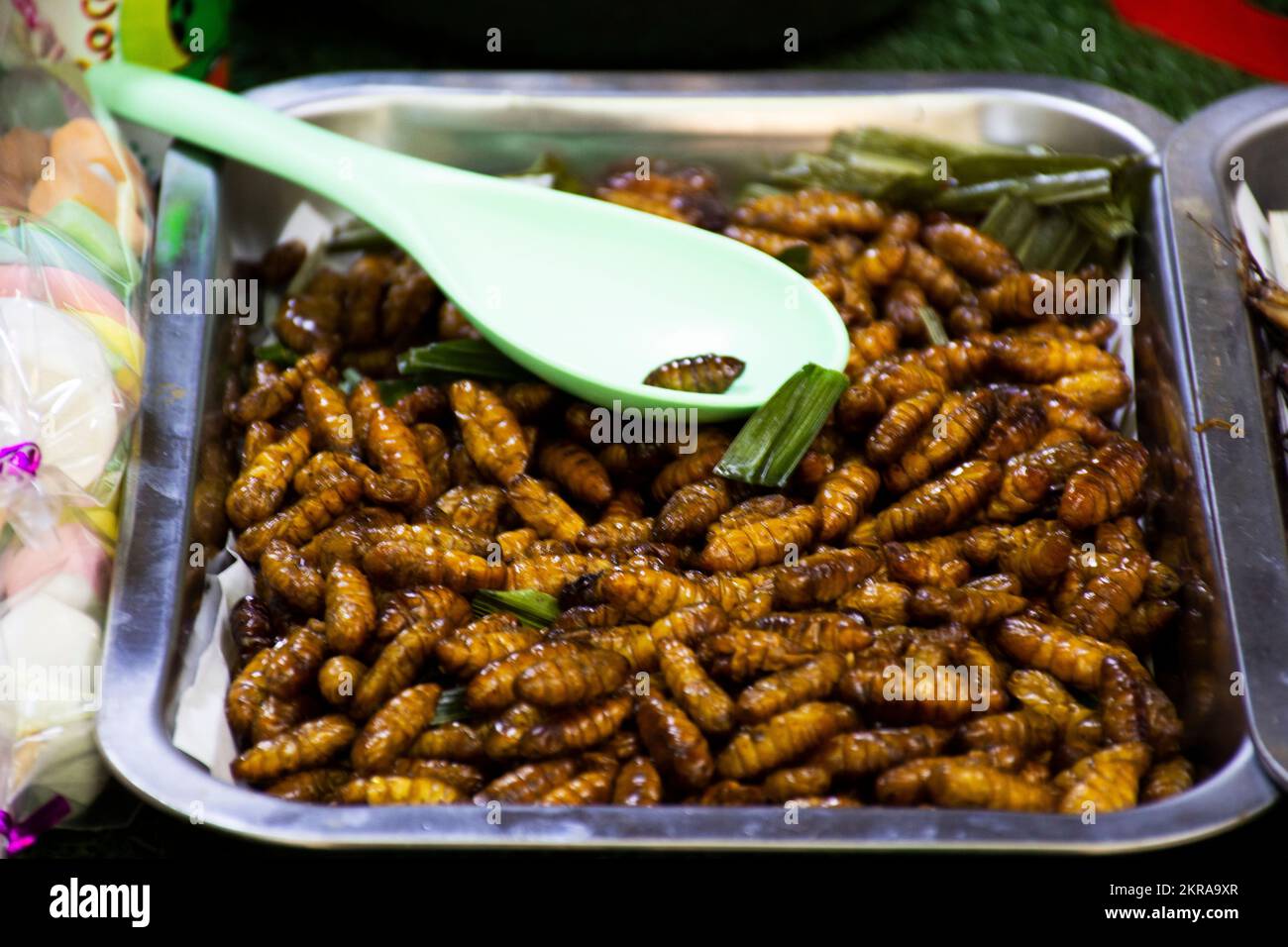 Venditore tailandese cucina mercantile locale cucina esotica da insetto e erbe o cibo fritto con erbe sulla vendita stalla Hawker in Cher si Ya mercato di strada Foto Stock