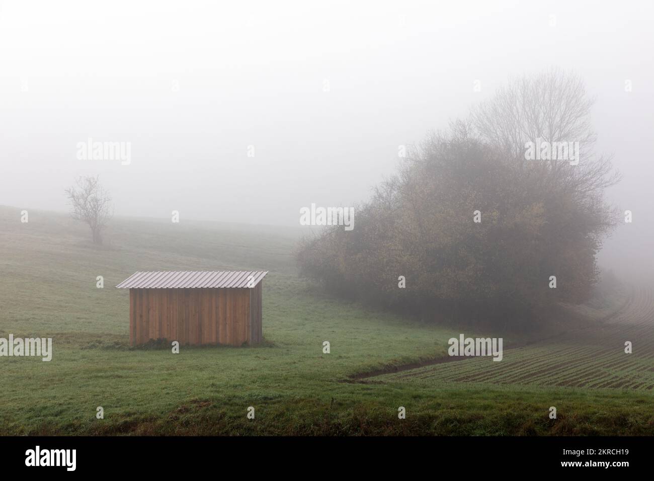 Capanna di legno in nebbia su un campo in Baviera Foto Stock