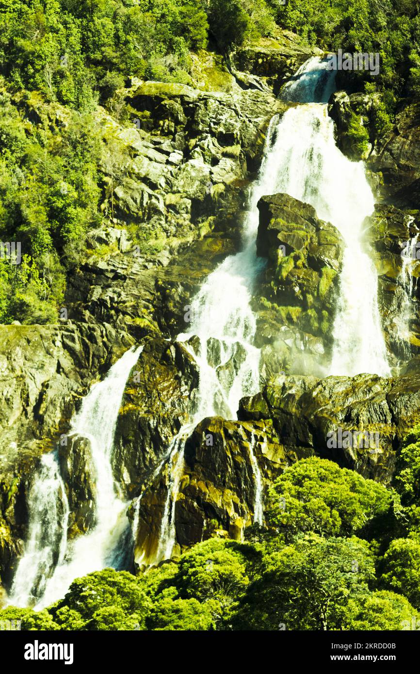 Scenario roccioso scenografico foresta su una scogliera caduta di acque di montagna gushing. Cascate di St Columba, Nord-Est della Tasmania, Australia Foto Stock