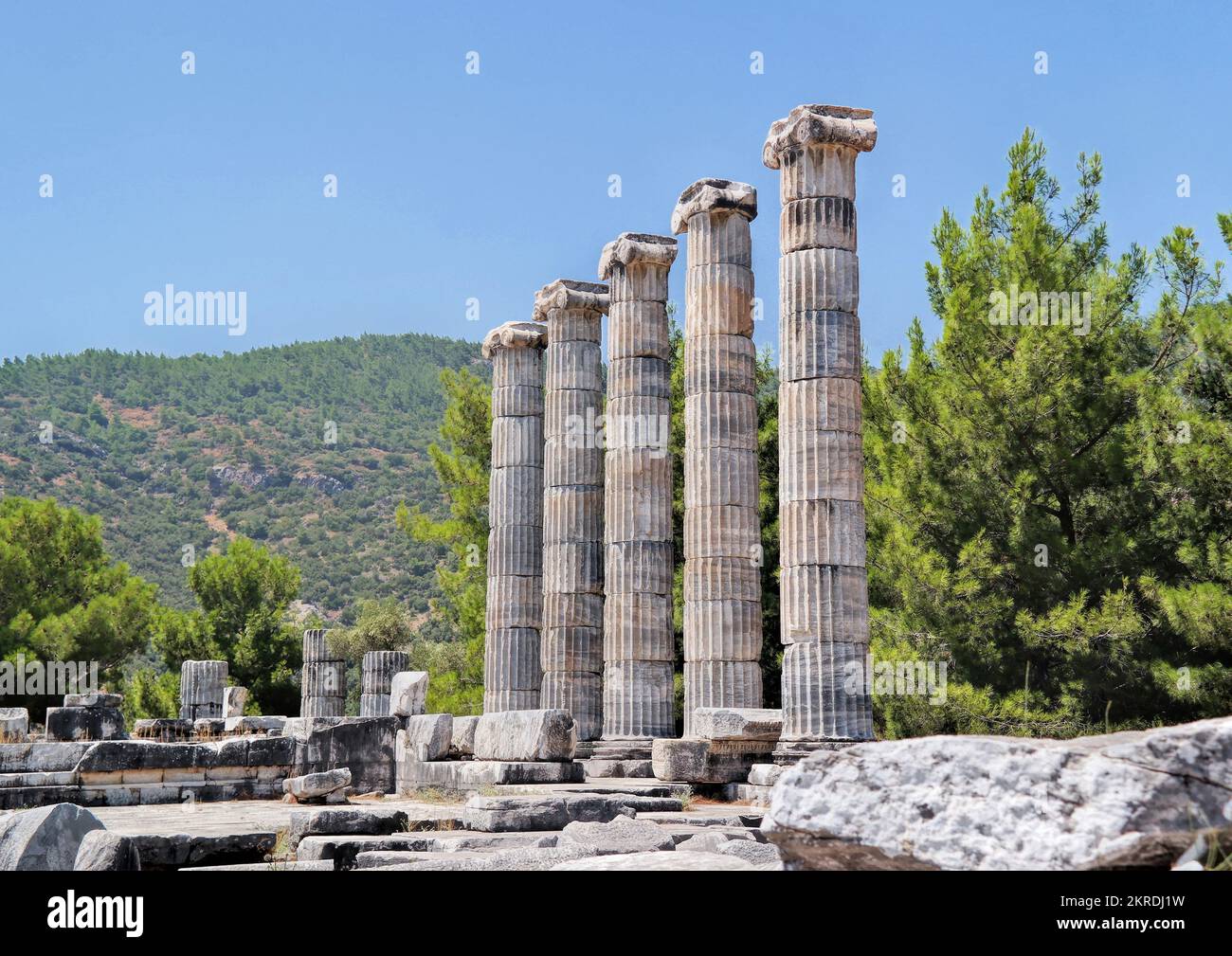 Priene, Söke, Aydın, Turchia, 2018 settembre: Rovine dell'antica città di Priene, colonne ioniche del Tempio di Atena Polias a Priene. Foto Stock