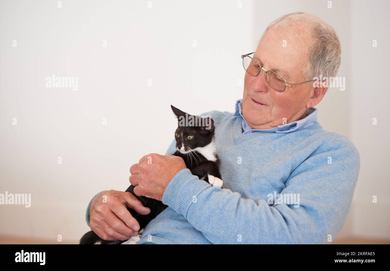 Non è una casa senza pelliccia-bambini. un uomo anziano che tiene il gatto. Foto Stock