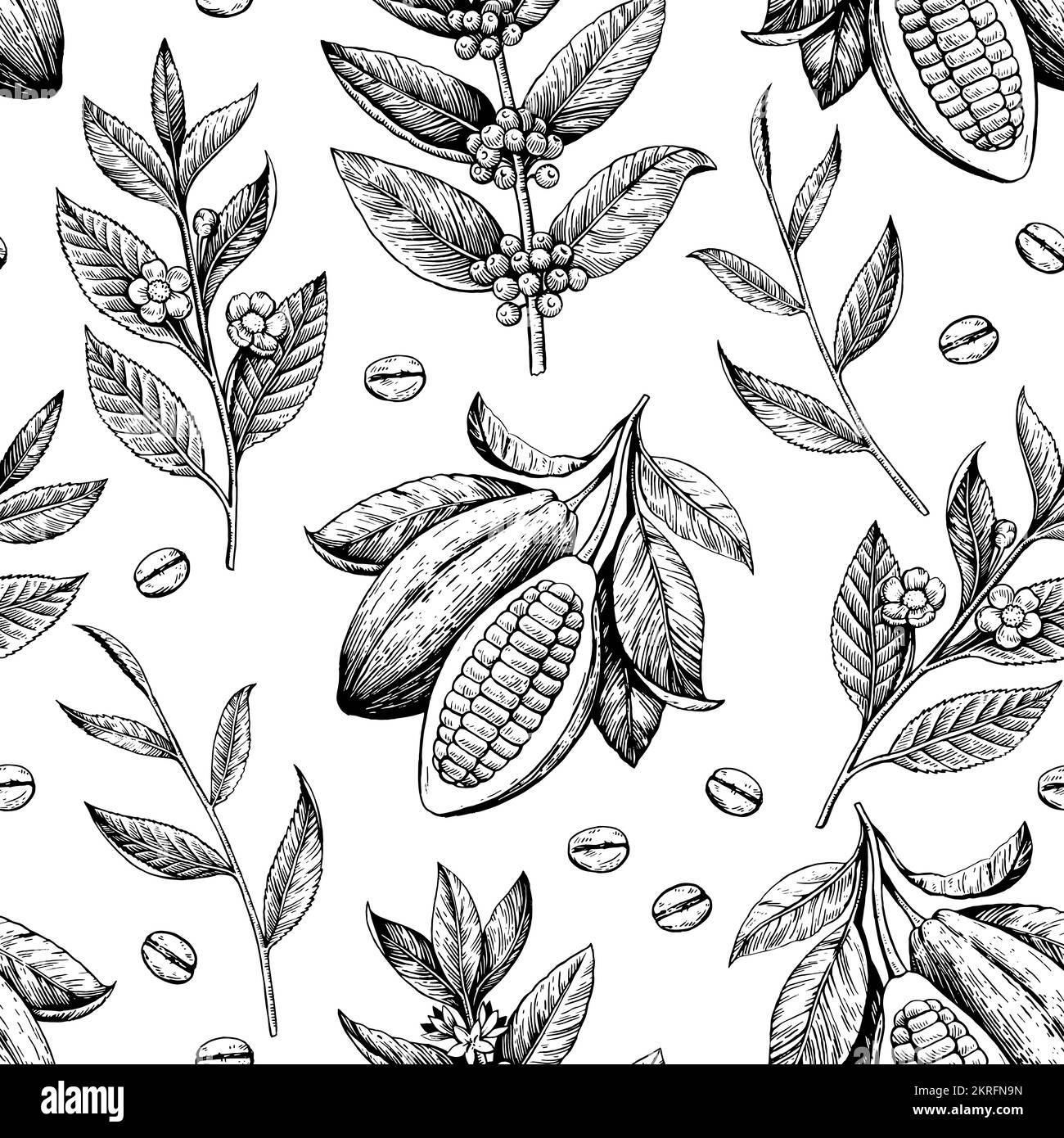 Fagioli di cacao, rami di tè e caffè. Motivo senza cuciture in stile antico d'epoca. Disegno vettoriale Illustrazione Vettoriale