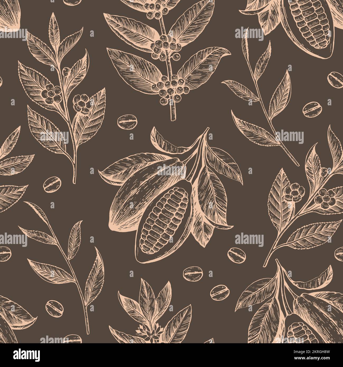 Fagioli di cacao, rami di tè e caffè. Motivo senza cuciture in stile antico d'epoca. Disegno vettoriale Illustrazione Vettoriale