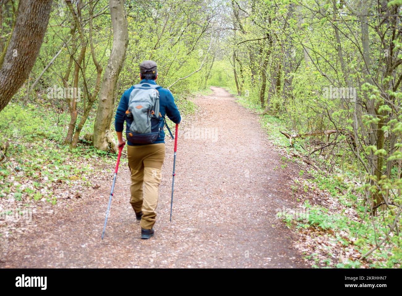 Persona che prende nordic walking nei boschi Foto Stock