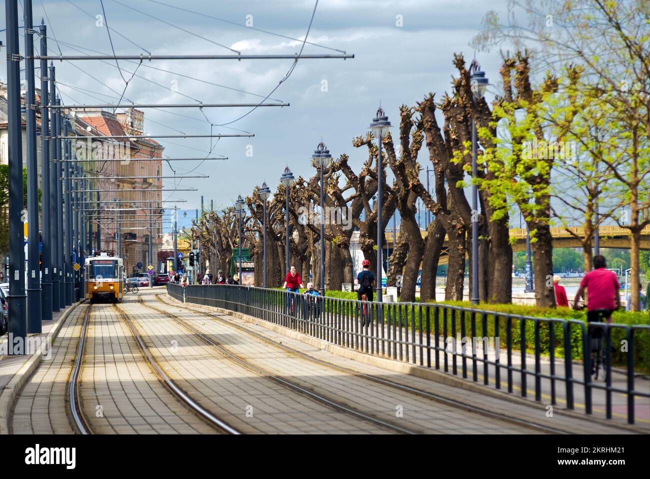 Tagliare alberi vecchi e ferrovia, Budapest, BEM rkp. Foto Stock