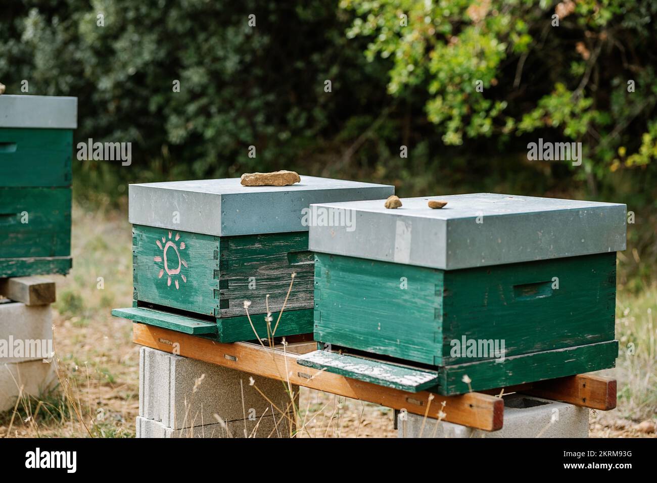 Alveare di legno con pietre in cima posto vicino a alberi verdi nella soleggiata giornata estiva in campagna Foto Stock