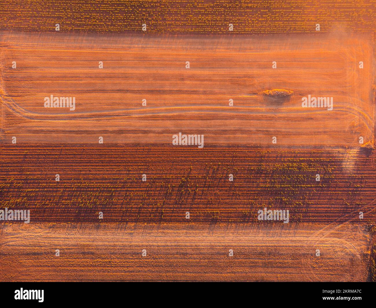 Vista da drone di file rettilinee di lavanda fiorente vicino a lunga strada vuota al sole di Guadalajara di Spagna Foto Stock