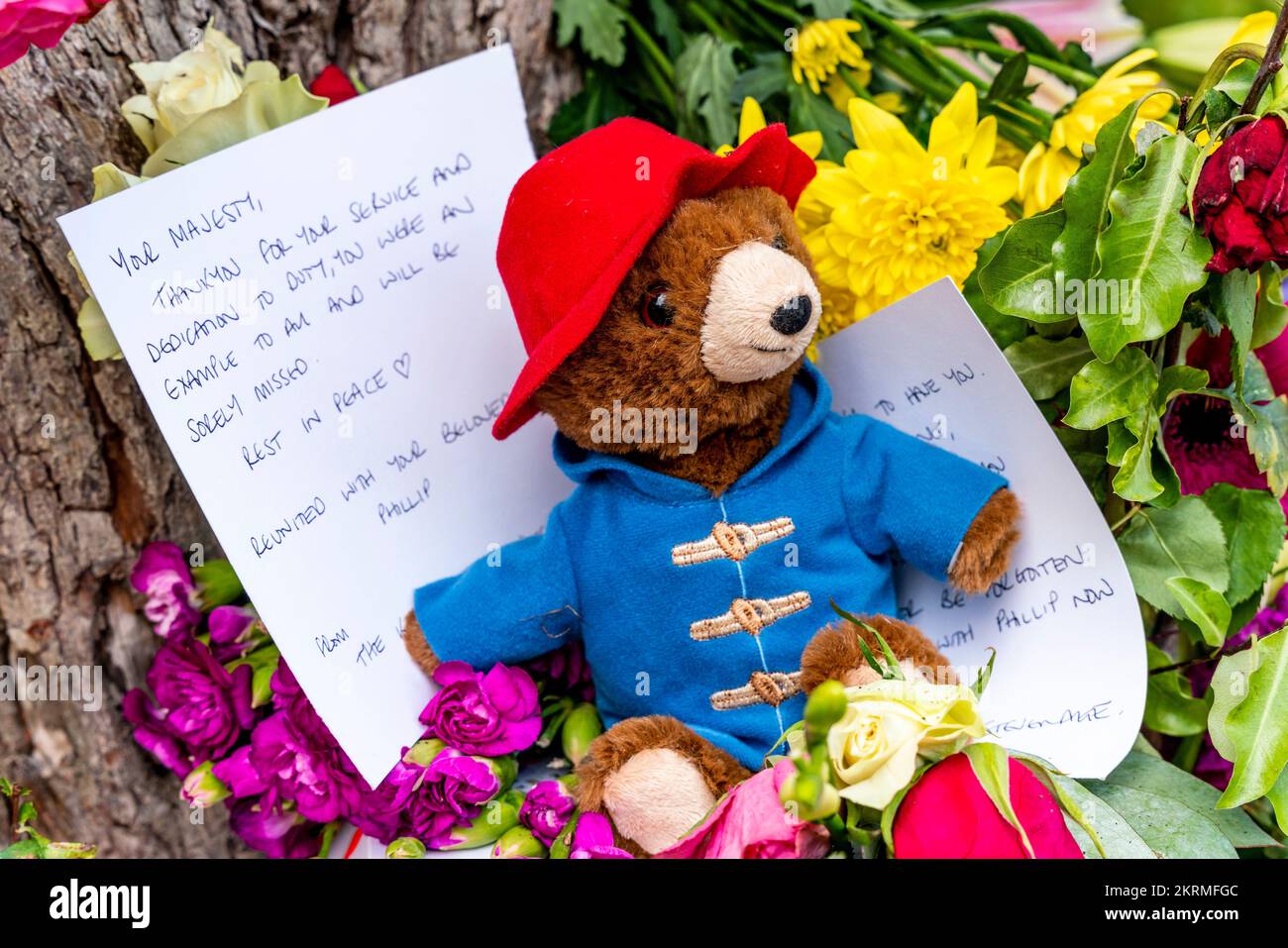 Un Orso di Paddington e tributi floreali per la Regina Elisabetta II nel Floral Tribute Garden a Green Park, Londra, Regno Unito. Foto Stock