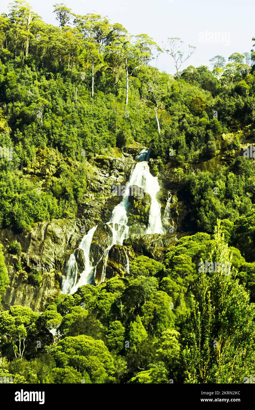Foto d'arte della natura su una scena fluente di rapide della foresta pluviale. Cascate di St Columba, Tasmania nord-orientale, Australia Foto Stock