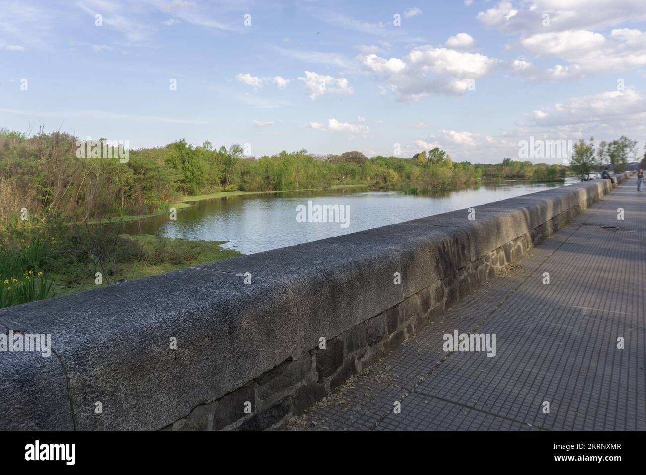 Riserva ecologica Costanera sur, Buenos Aires, Sud America, Argentina Foto Stock