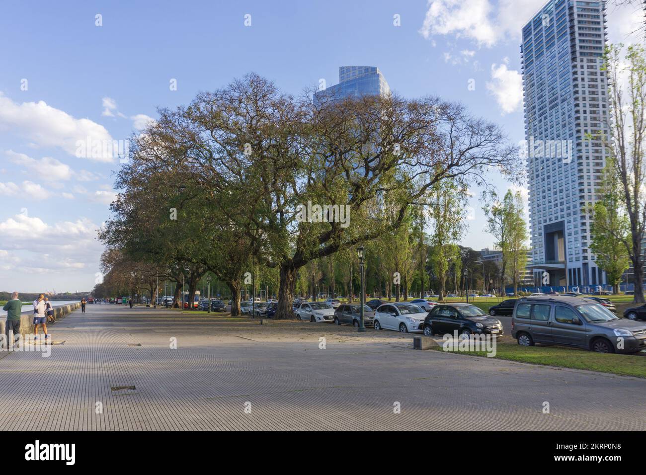 Riserva ecologica Costanera sur, Buenos Aires, Sud America, Argentina Foto Stock