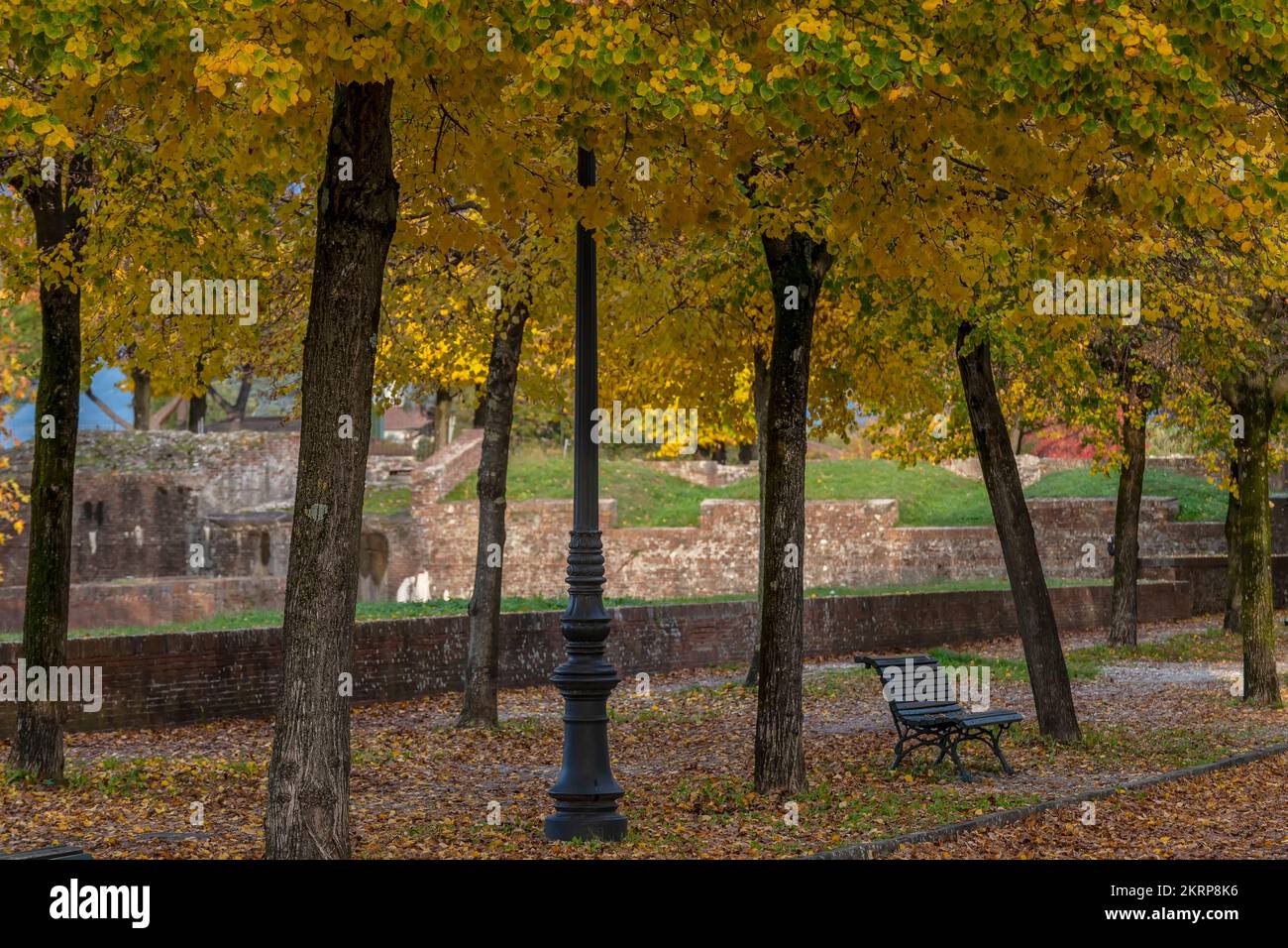 Una panchina solitaria sulle antiche mura di Lucca, Italia, sotto alberi che perdono foglie colorate nella stagione autunnale Foto Stock